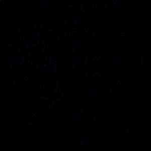 Meet your Posher, Will